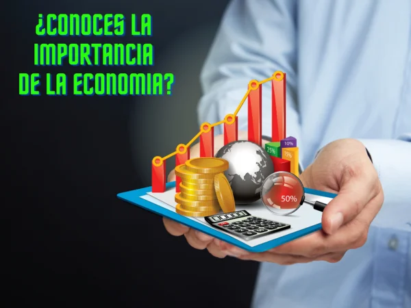 Qual è l'importanza dell'economia